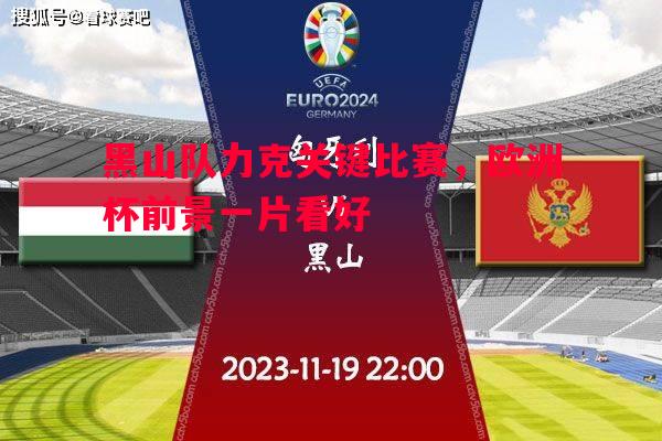 黑山队力克关键比赛，欧洲杯前景一片看好