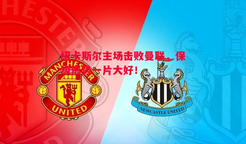纽卡斯尔主场击败曼联，保级形势一片大好！